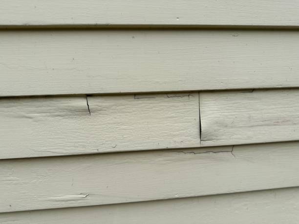 Best Fiber Cement Siding Installation  in King City, OR